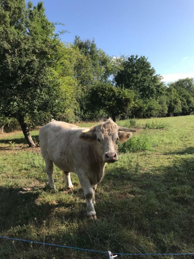 La Bergerie Du Domaine Des Buissonnets Écardenville-sur-Eure Exterior foto